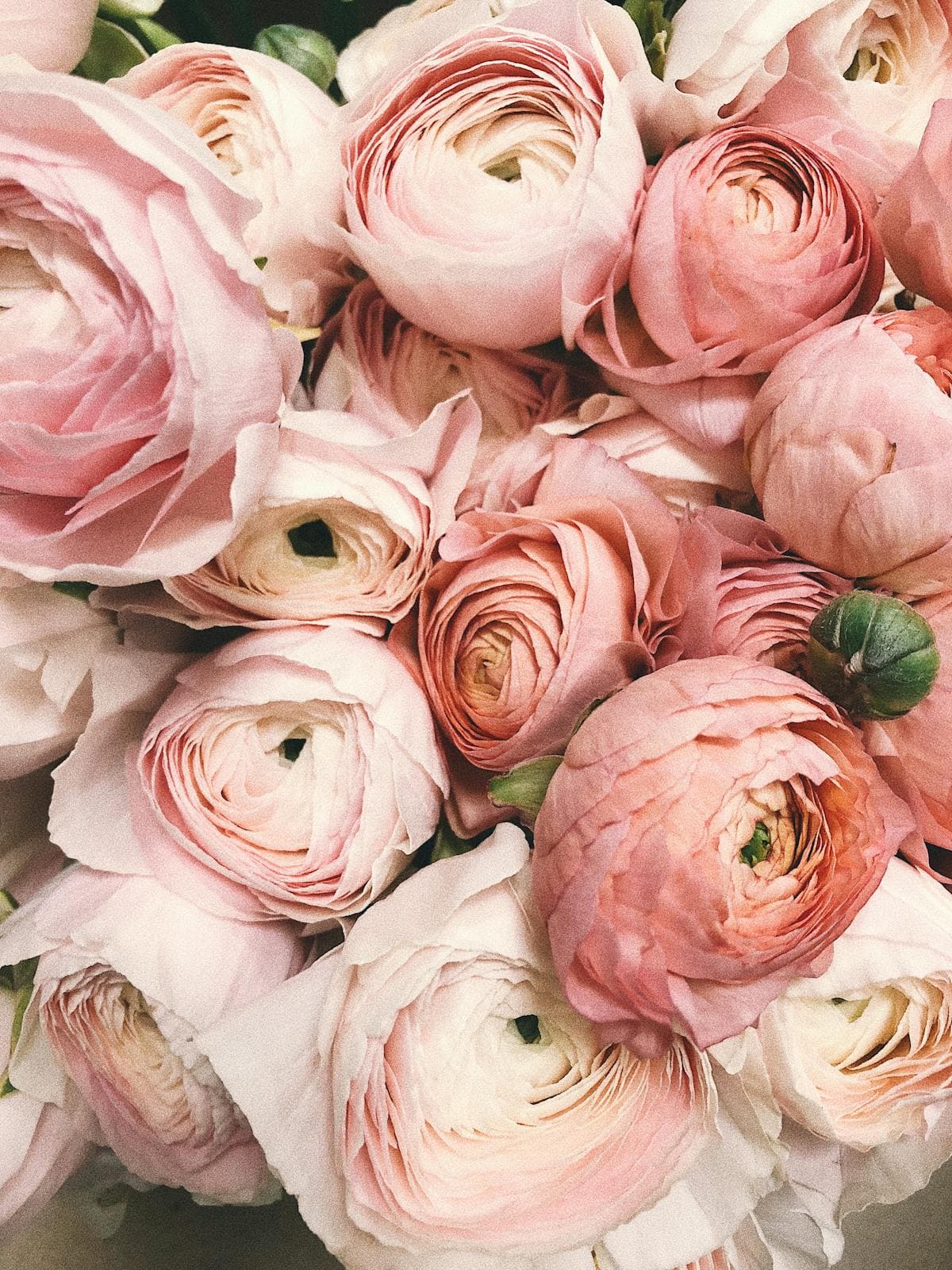 Floral arrangement detail shot